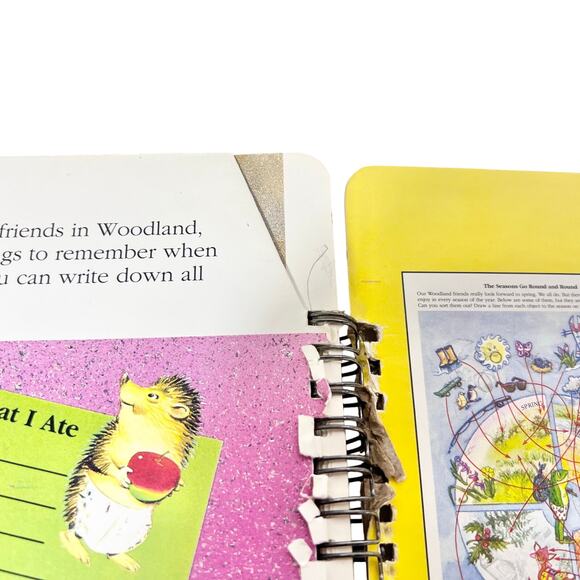 A Trip To Woodland A Suitcase Full Of Stories & Games by Jane & Sarah Brierley - Picture 7 of 12